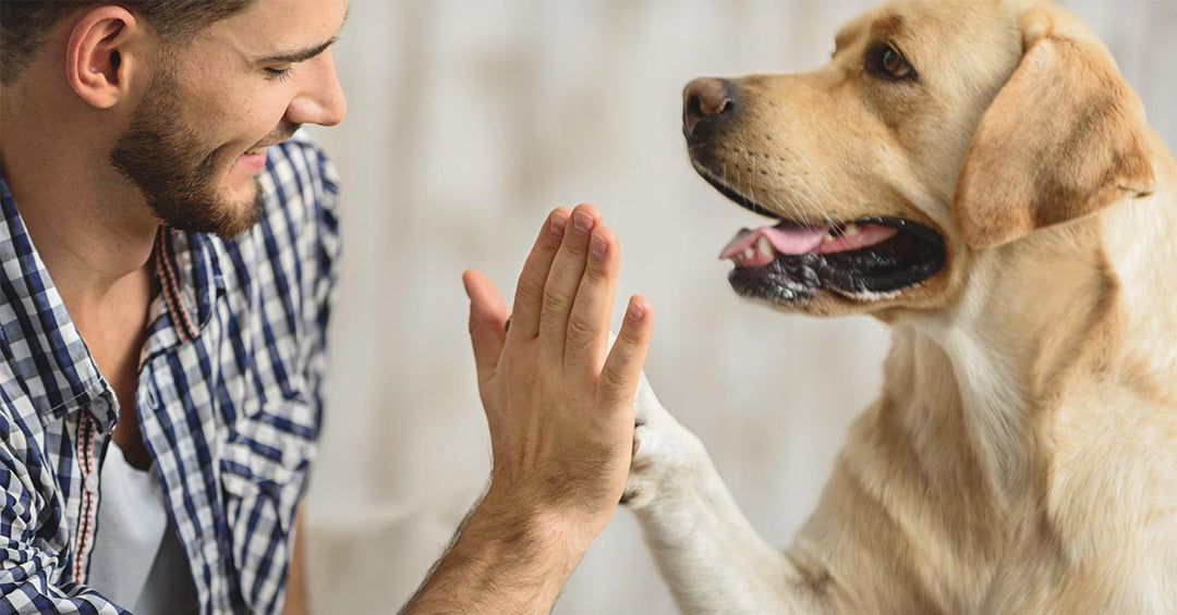 Think you know your dog?  Think again