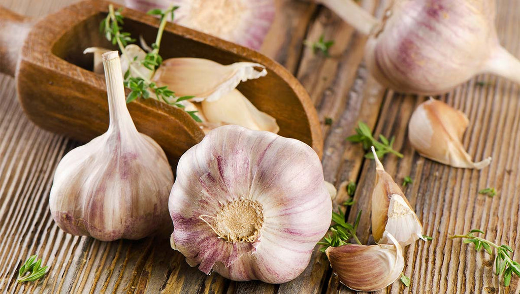 Garlic Good: Stroke Bad