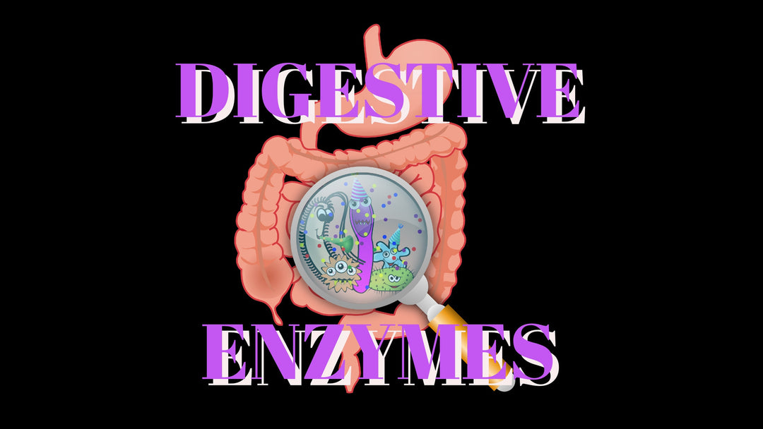 Digesting with Enzymes
