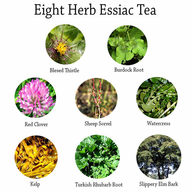 Essiac Tea Herbal Balance for Life